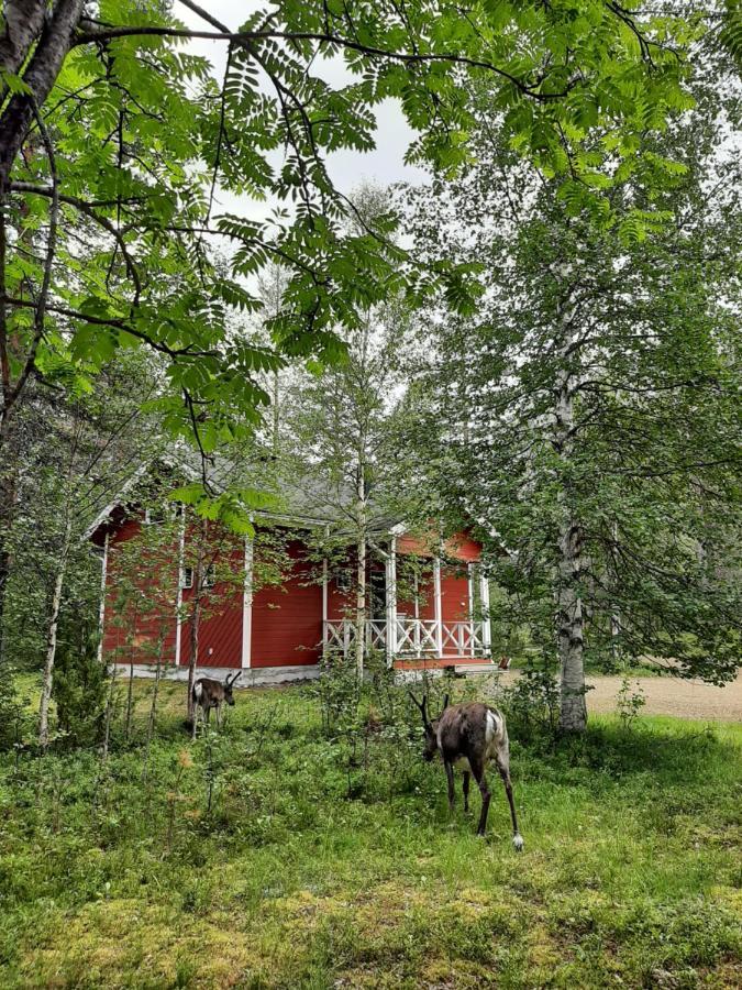 Kuosto Ja Luppo Villa Äkäslompolo Exteriör bild