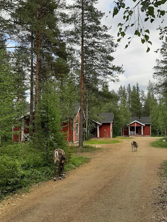 Kuosto Ja Luppo Villa Äkäslompolo Exteriör bild