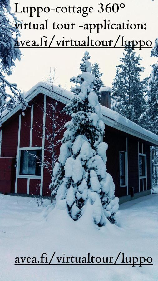 Kuosto Ja Luppo Villa Äkäslompolo Exteriör bild